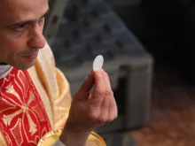 Priest gives communion on the feast of the Holy Family in St. Peter's Basilica on Dec. 27, 2015.